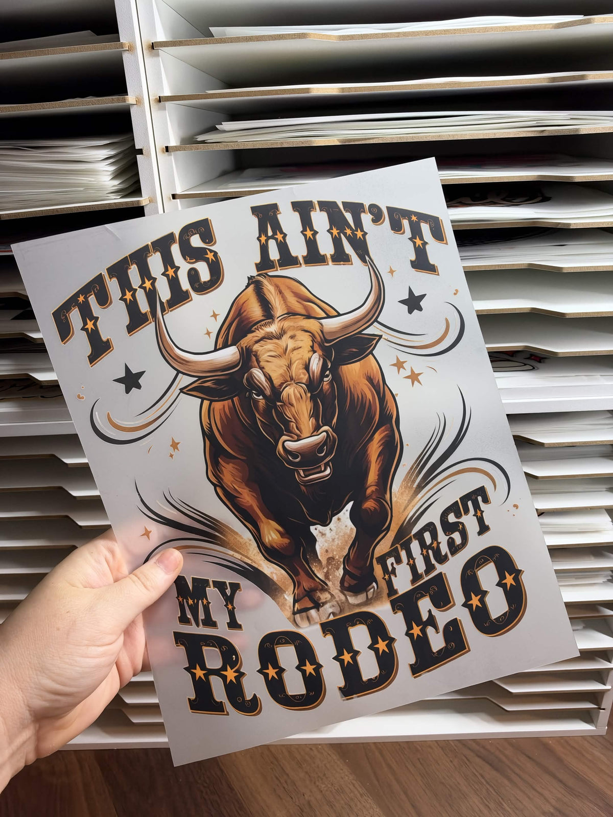 THIS AIN'T MY FIRST RODEO DTF