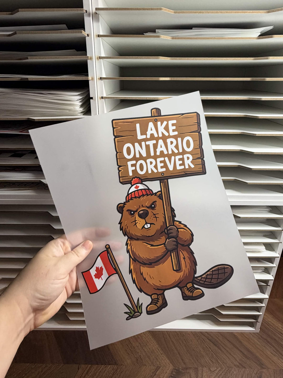 LAKE ONTARIO FOREVER DTF