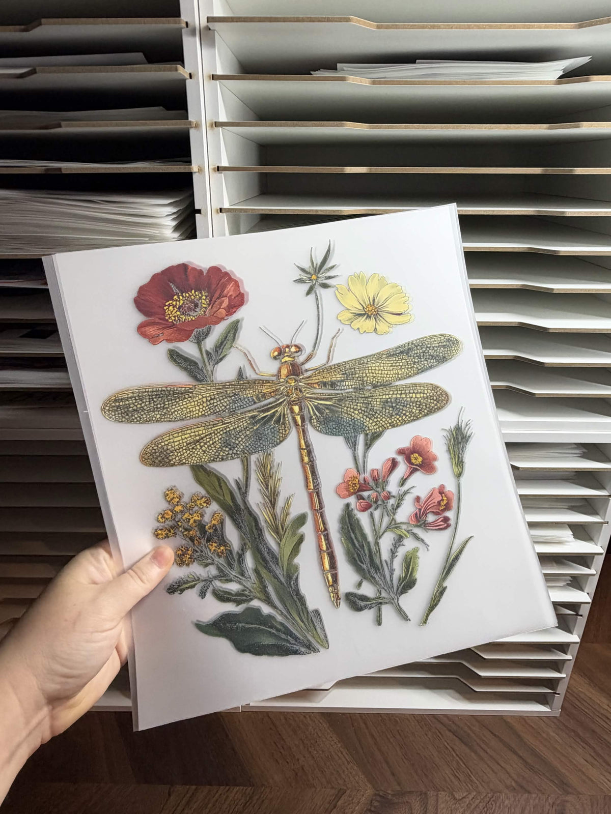 DRAGONFLY DTF