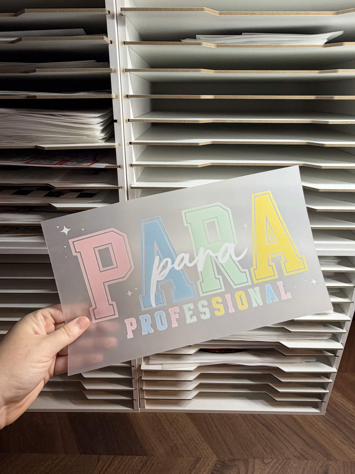 PARA PROFESSIONAL DTF