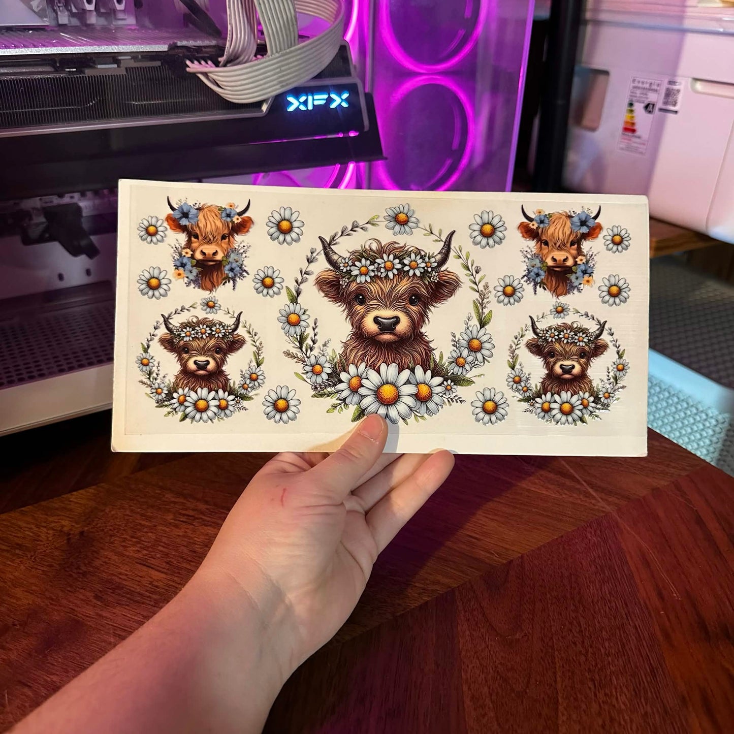230 - ANIMALS