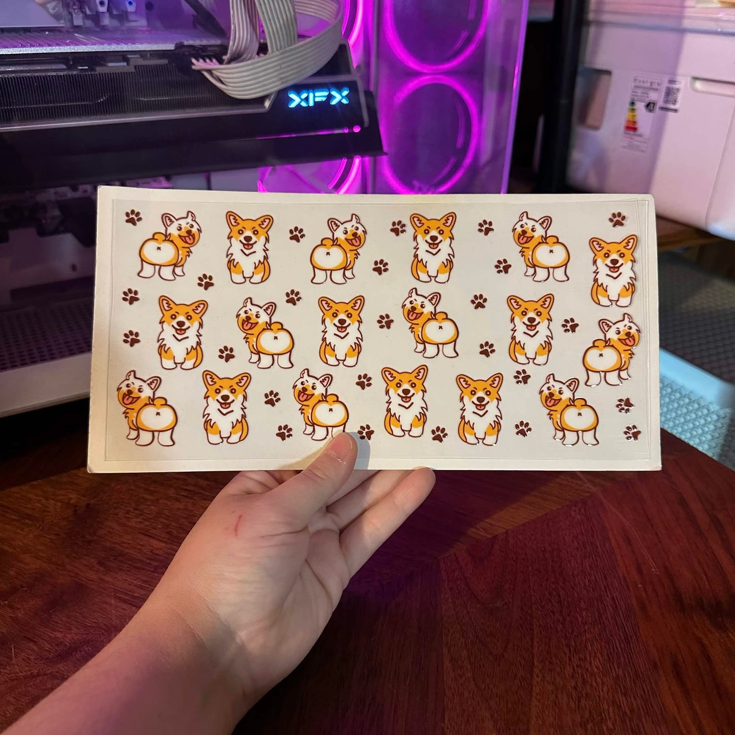 203 - ANIMALS