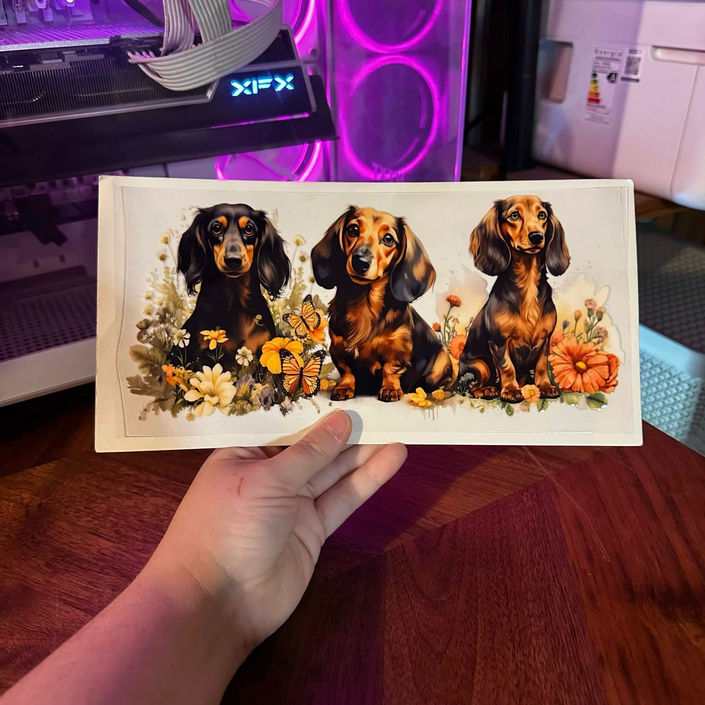 201 - ANIMALS