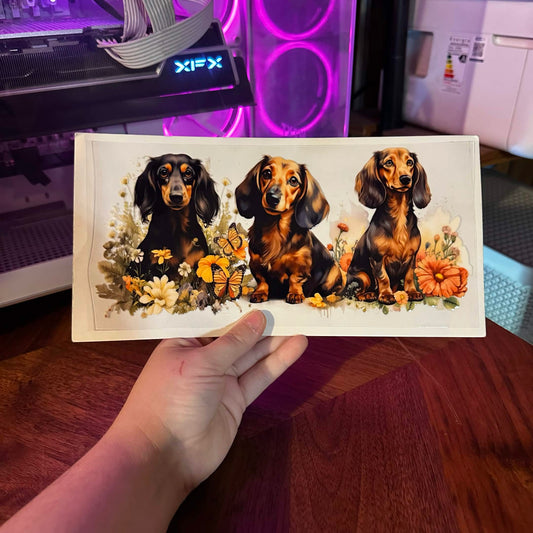201 - ANIMALS