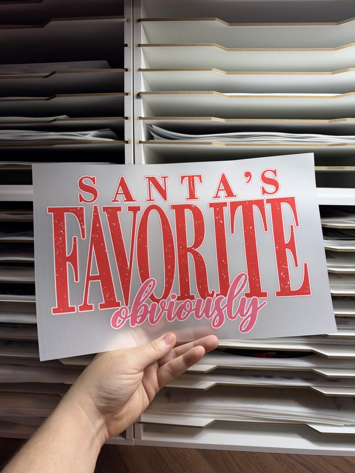 SANTAS FAVORITE OBVIOSLY DTF